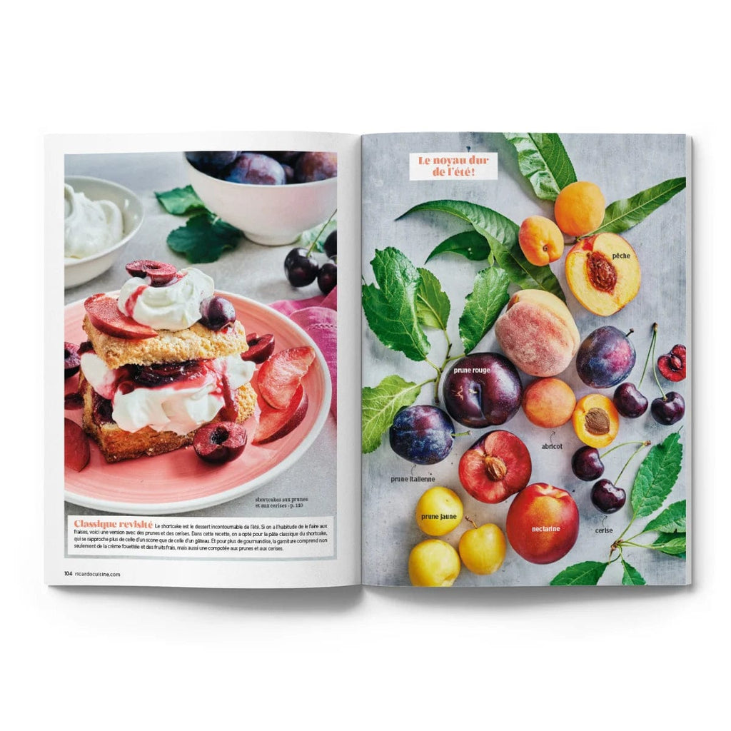 Magazine Ricardo - T22 Nr6