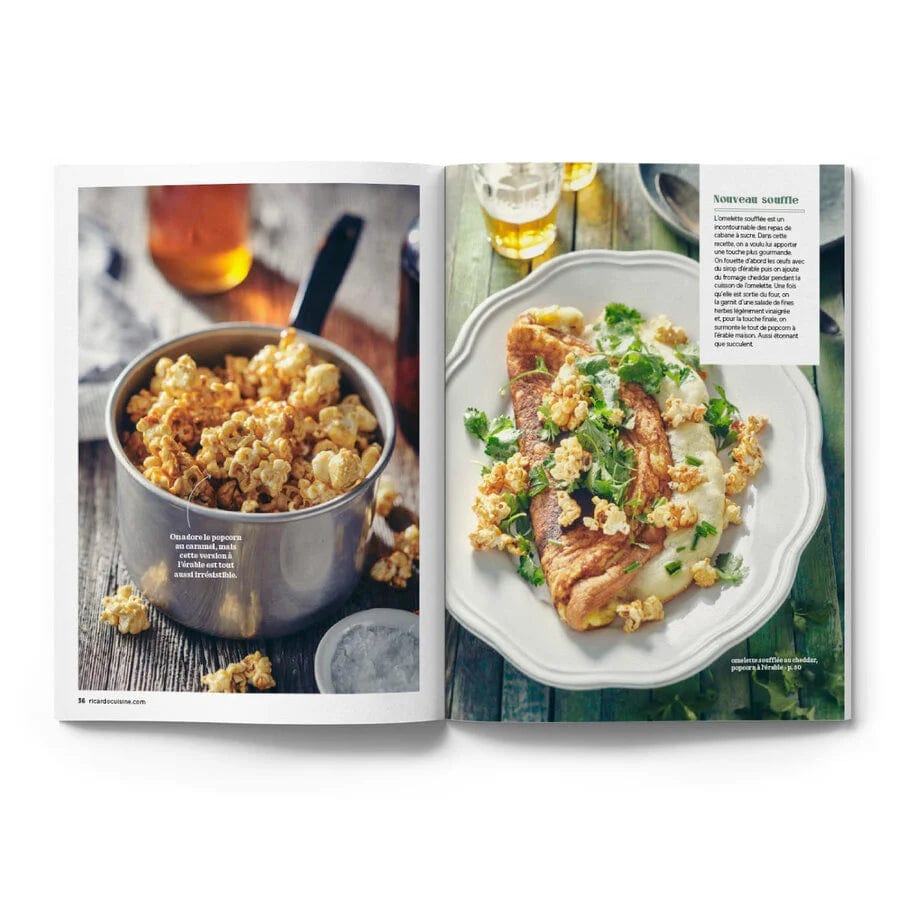 Magazine Ricardo - T22 Nr4