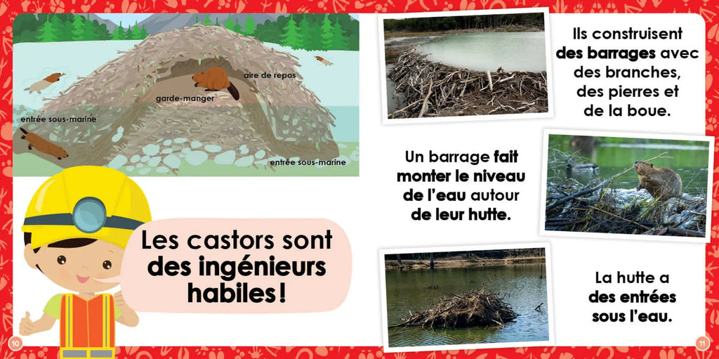 Mon louloudoc - Les castors
