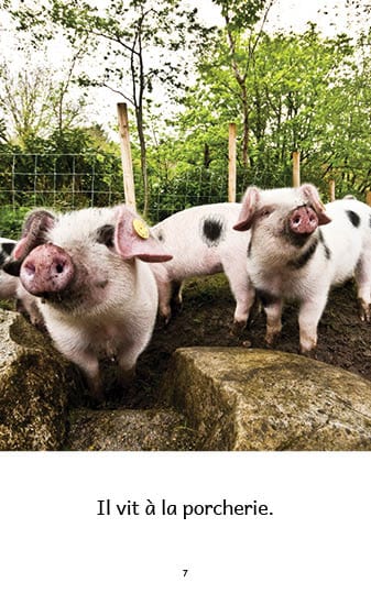 Ensemble Facile à lire - Les animaux de la ferme - Niveau 2