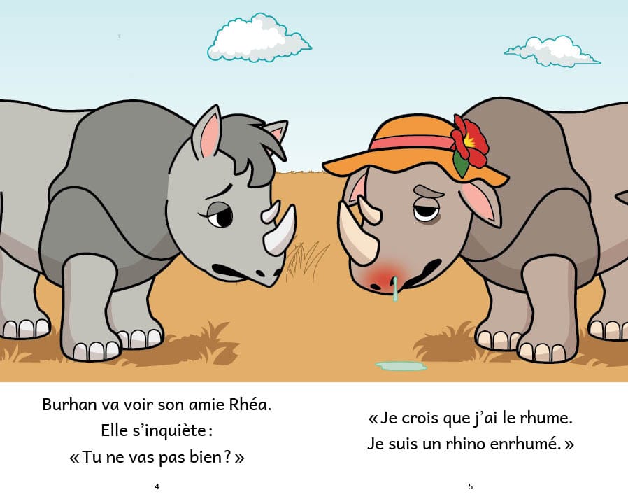 Ensemble Facile à lire - Introduction 4 - niveau 4