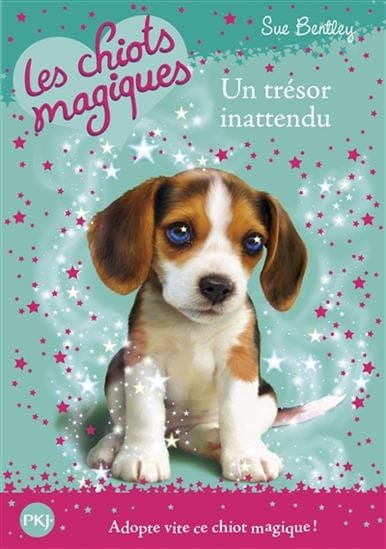 Les chiots magiques T14 - un trésor inattendu