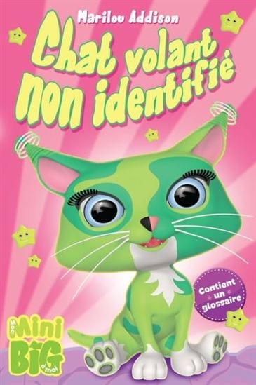 Mini Big - Chat volant non identifié