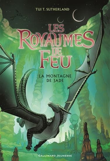 Les Royaumes de feu T06 - La Montagne de jade