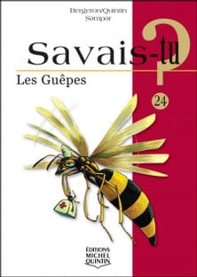 Savais-tu? T24 - Les guêpes