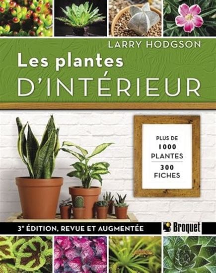 Les Plantes d'intérieur