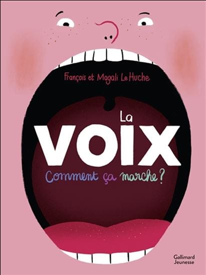 La Voix, comment ça marche ?