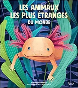 Les animaux les plus étrange du monde
