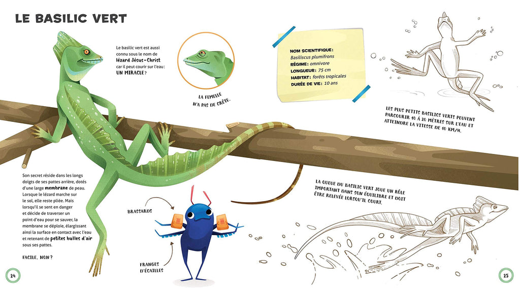 Les animaux les plus étrange du monde