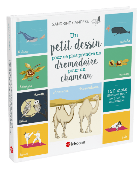 Un petit dessin pour ne plus prendre un dromadaire pour un chameau