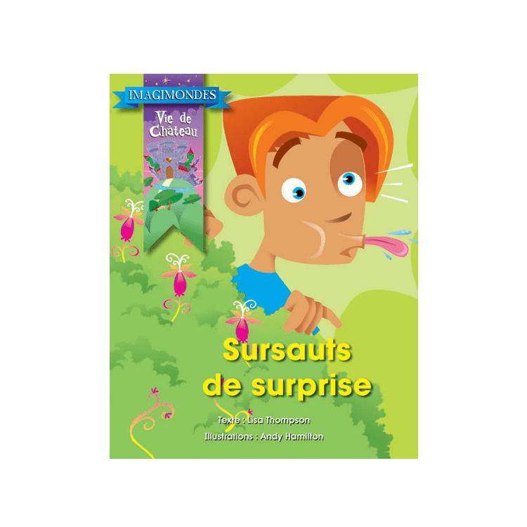 Imagimondes - Vie de Château - Sursauts de surprise