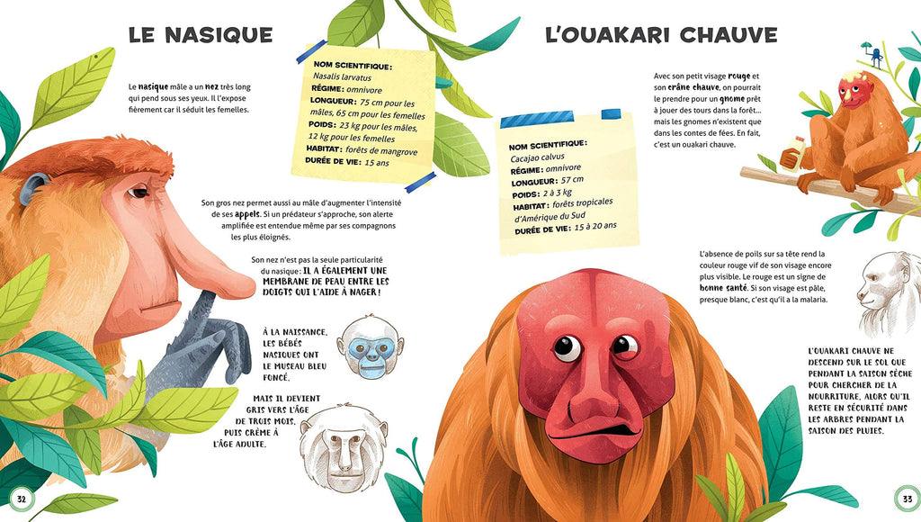 Les animaux les plus étrange du monde