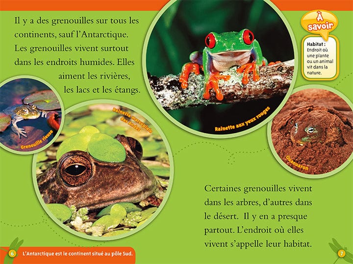 National géographic kids: Les grenouilles
