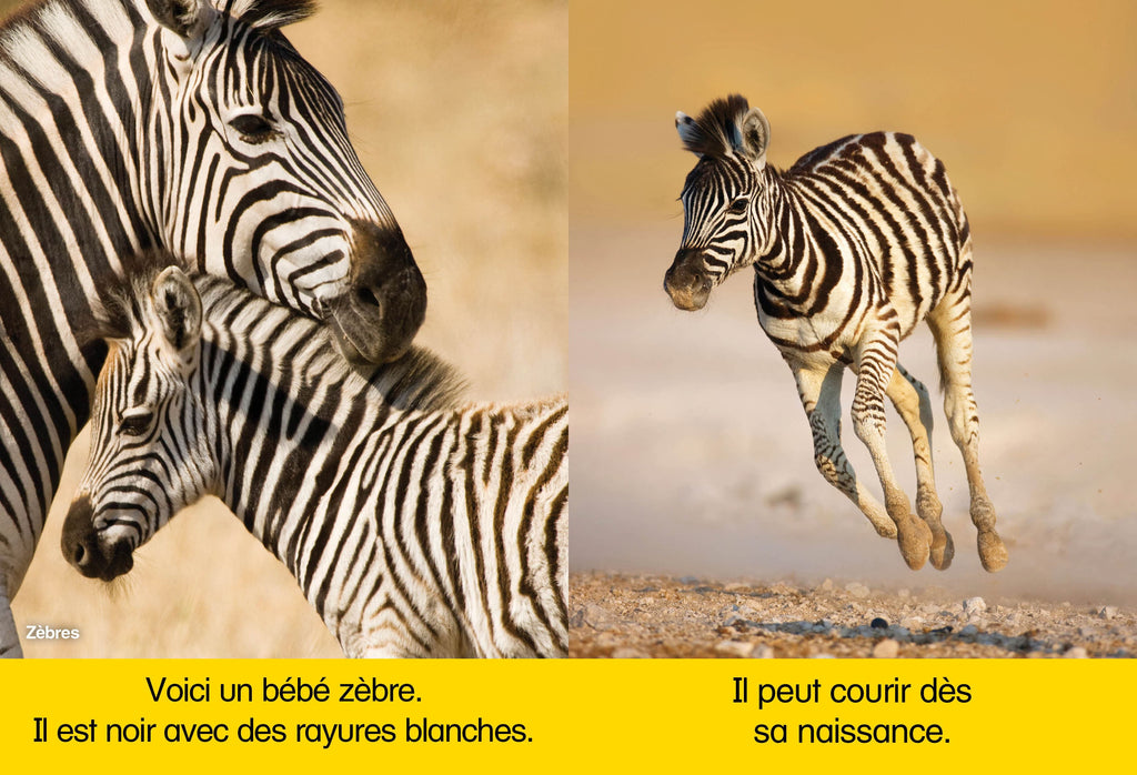 La boîte à lecture 3 - National Geographic kids