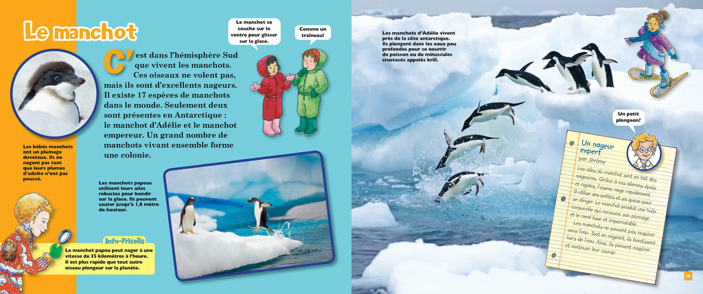 L'autobus magique présente les animaux polaires