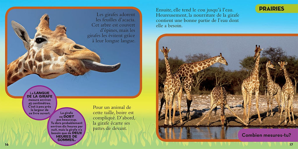 National Geographic Kids - Mon grand livre d'animaux