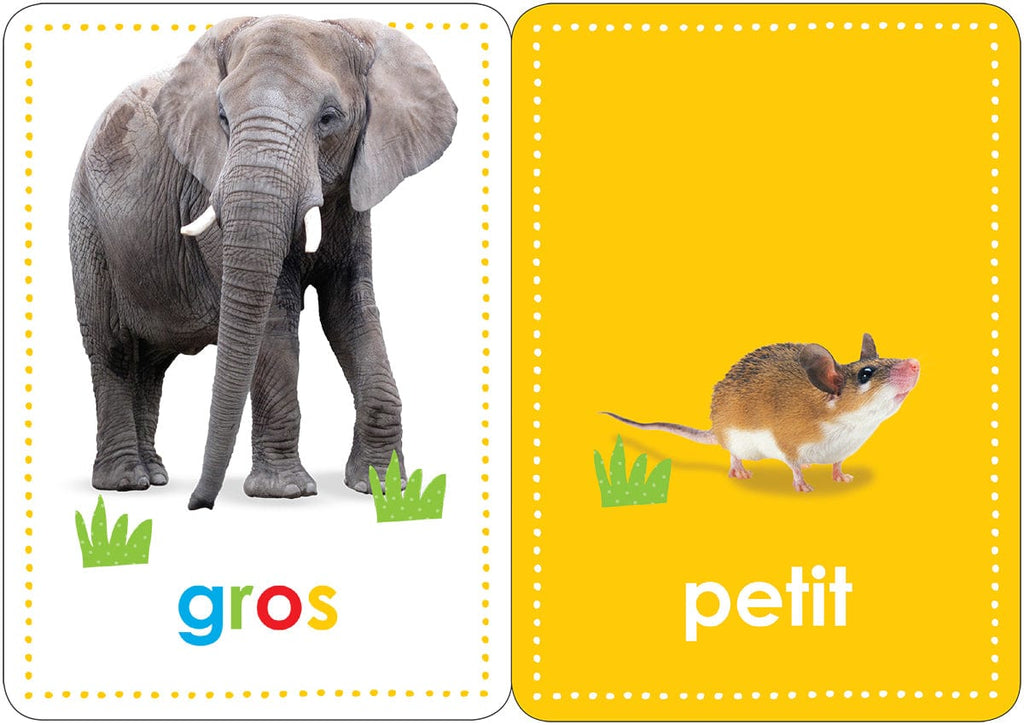 Cartes éclair - Mes 50 premiers mots