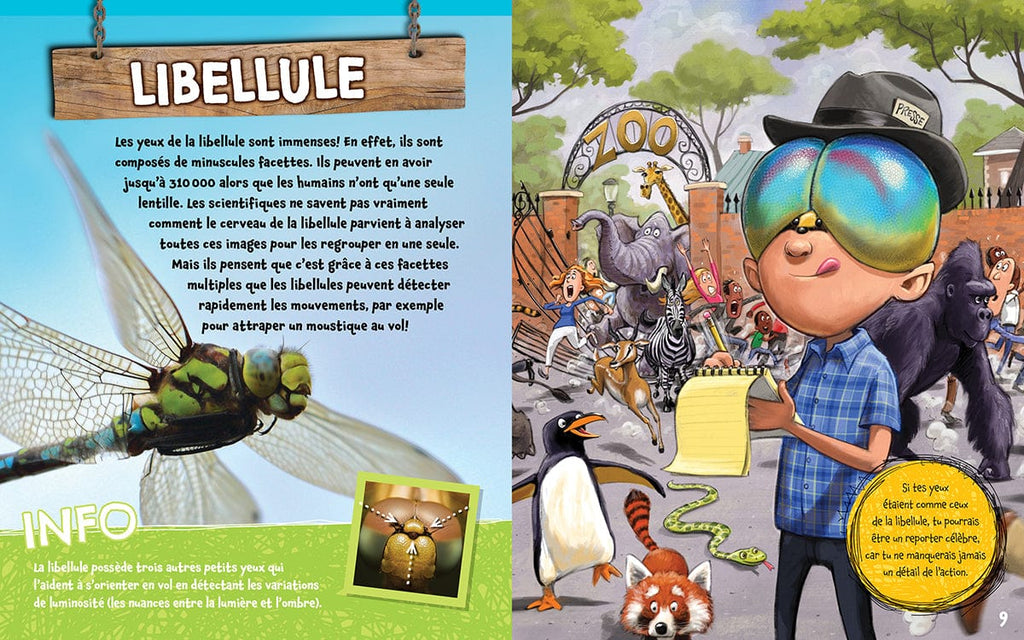 Quels drôles d'yeux