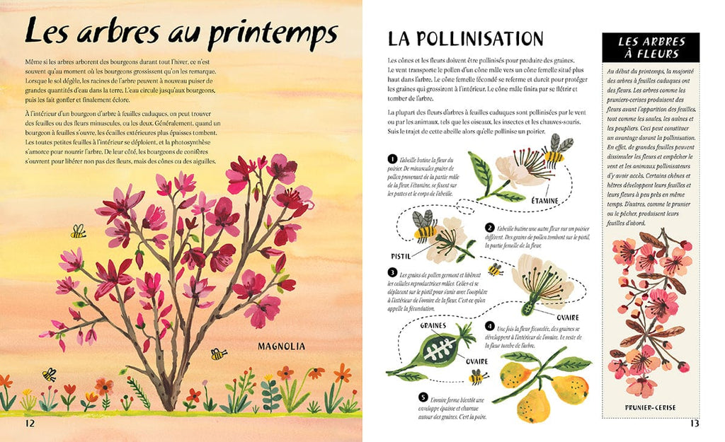 En pleine nature - Les arbres