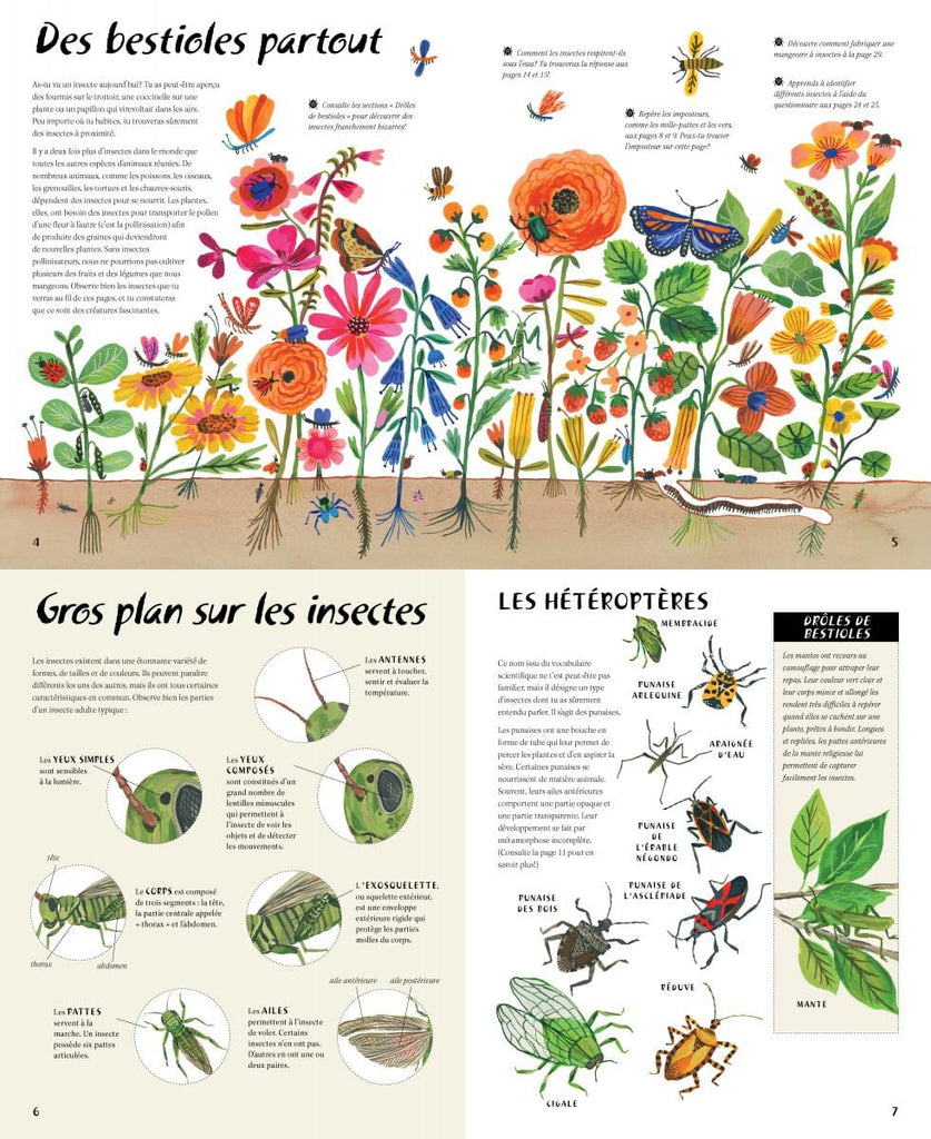 En pleine nature - Les bestioles