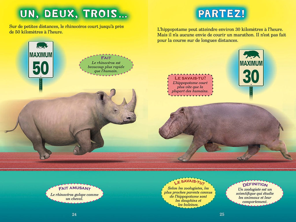 Qui va gagner? Le rhinocéros ou l'hippopotame?