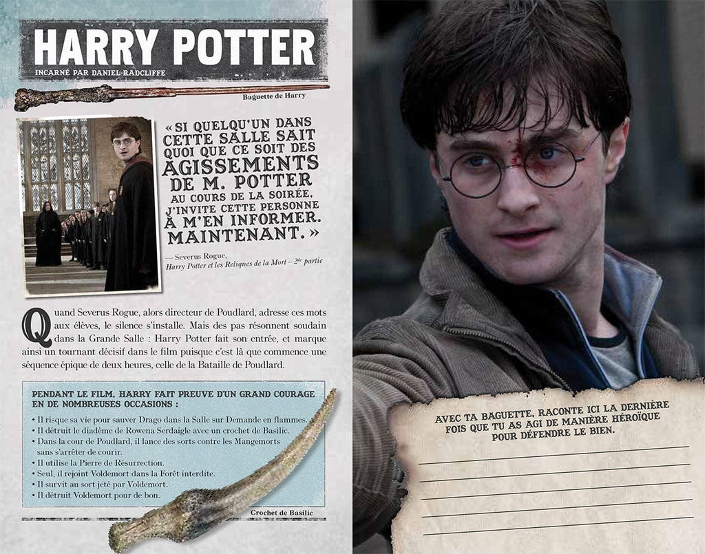 Harry Potter - La bataille de Poudlard - L'ultime affrontement magique