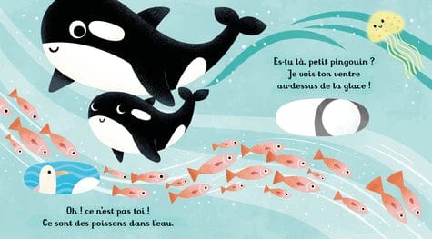 Es-tu là, petit pingouin ?