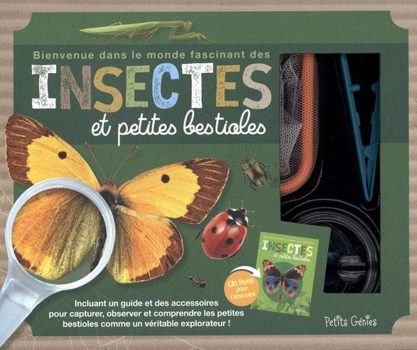 Bienvenue dans le monde fascinant des insectes et petites bestioles