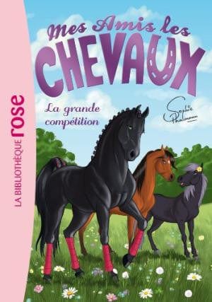 Mes amis les chevaux T02: La grande compétition