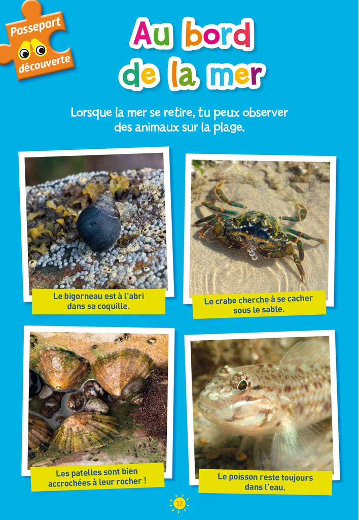 Passeport - De la petite section à la moyenne section ( 3/4 ans )