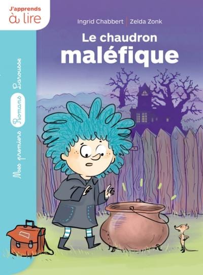 Un sorcier à l'école - Le chaudron maléfique