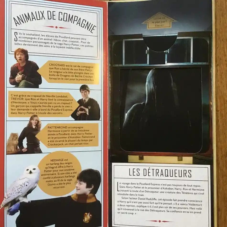 Destination Poudlard: Coffret magique du monde des sorciers