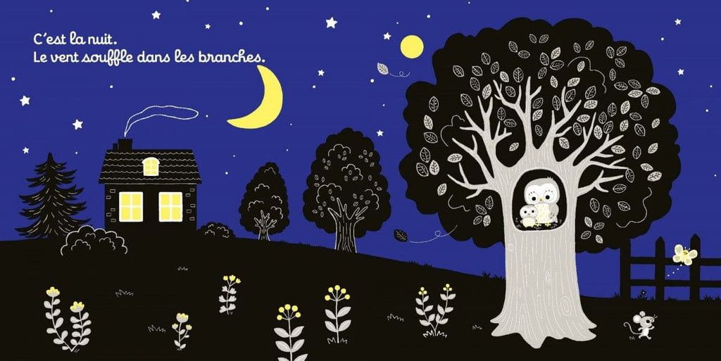 Écoute dans la nuit