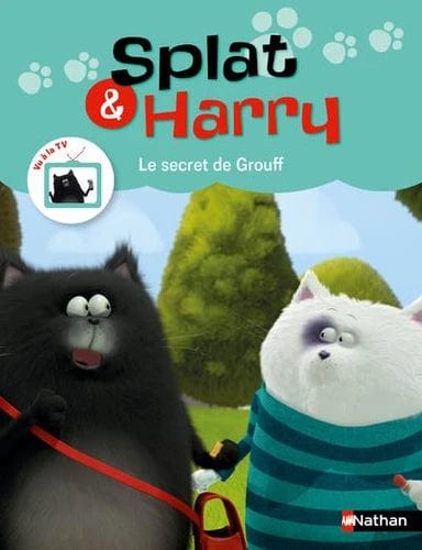 Splat & Harry T07 - Le secret de Grouff