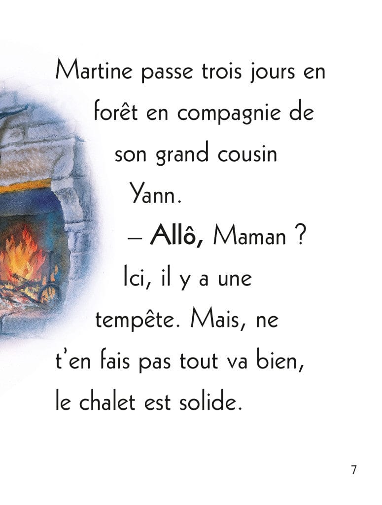 Martine T28 - Et l'arche des animaux