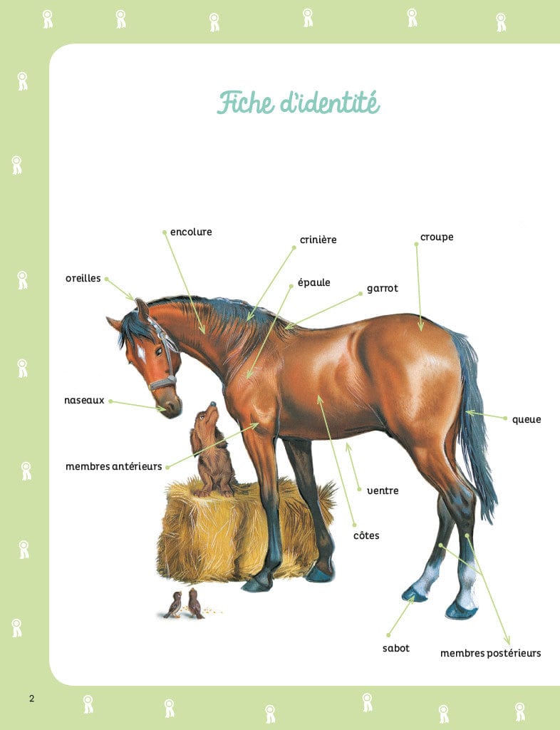 Martine - Vive les chevaux!