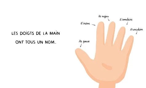 Les orteils n'ont pas de nom