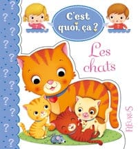C'est quoi, ça? - Les chats