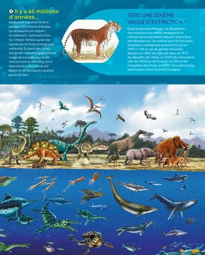 La grande imagerie - Les animaux en danger