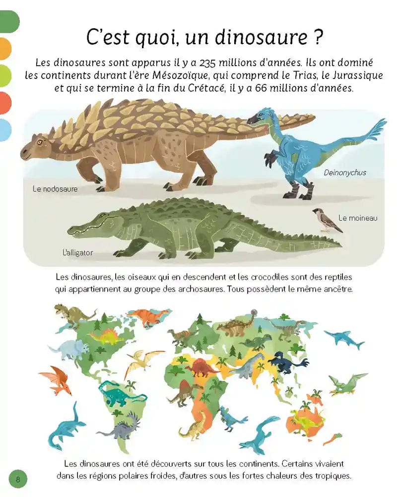 L'imagerie - Les dinosaures