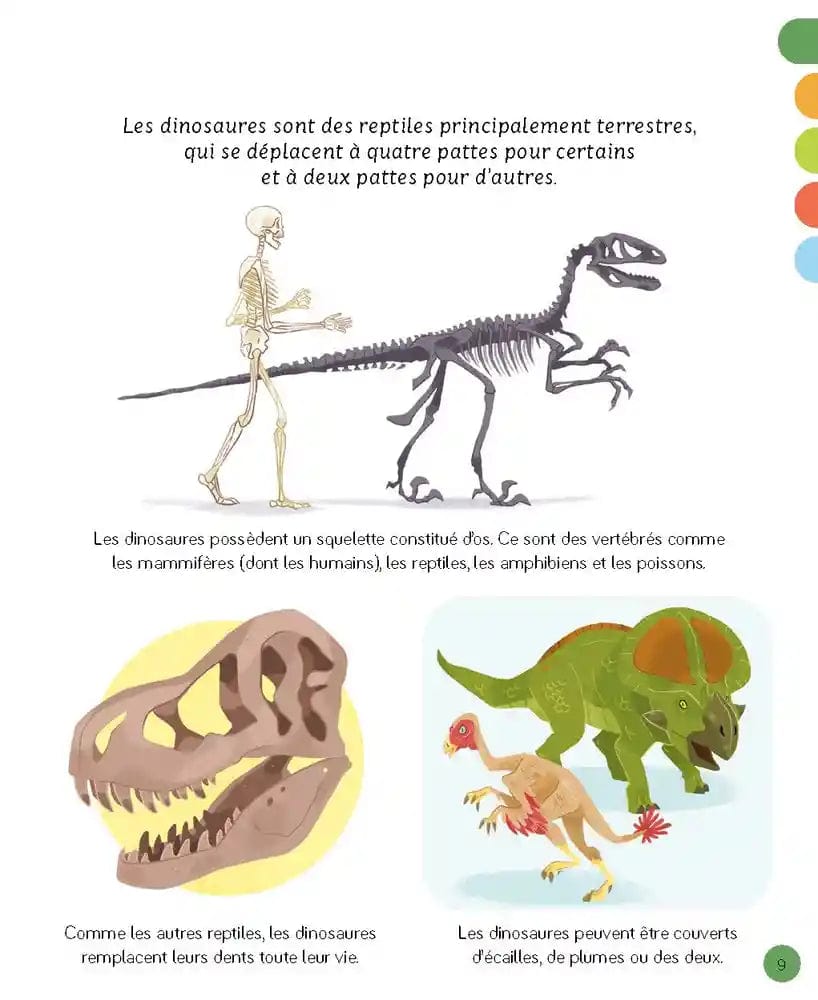 L'imagerie - Les dinosaures