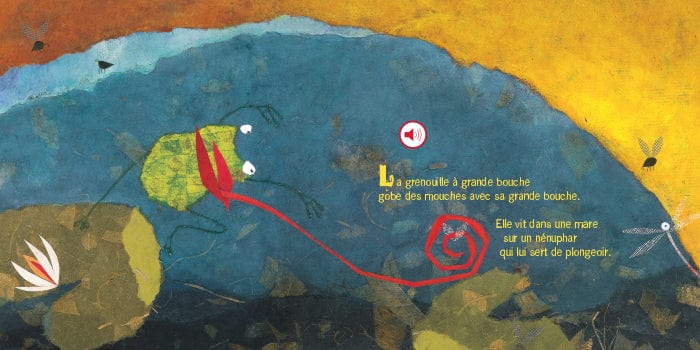 Mon petit livre sonore - La grenouille à grande bouche