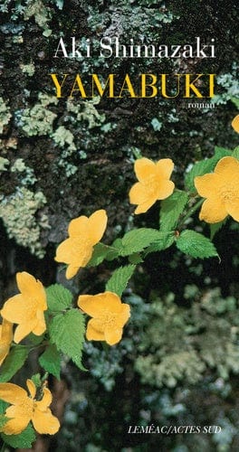 Au cœur du Yamato T05 - Yamabuki