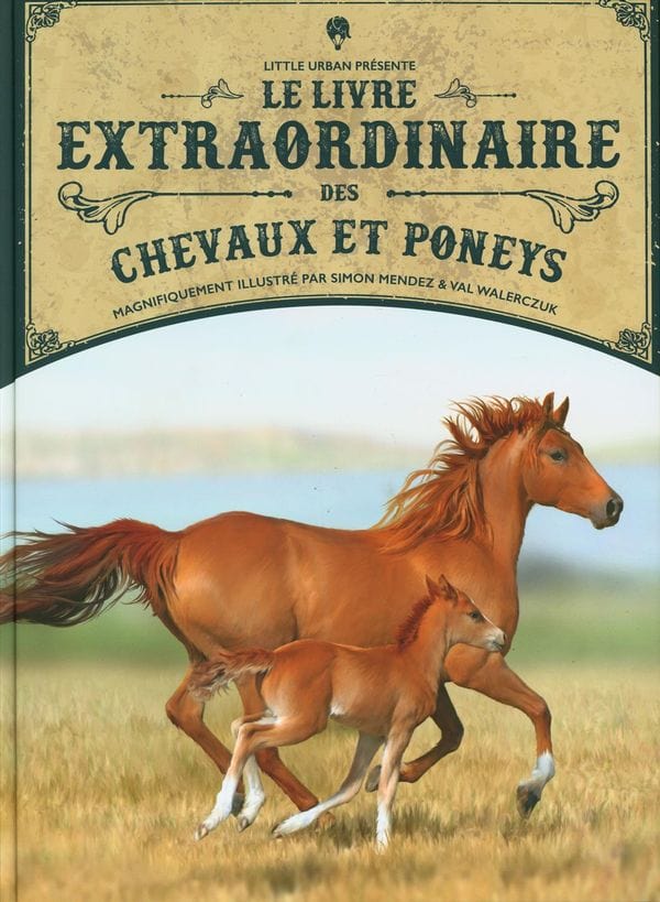 Le livre extraordinaire des chevaux et poneys