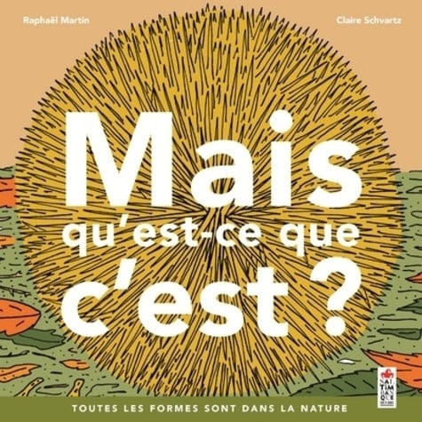 Mais qu'est que c'est ? - Toutes les formes sont dans la nature