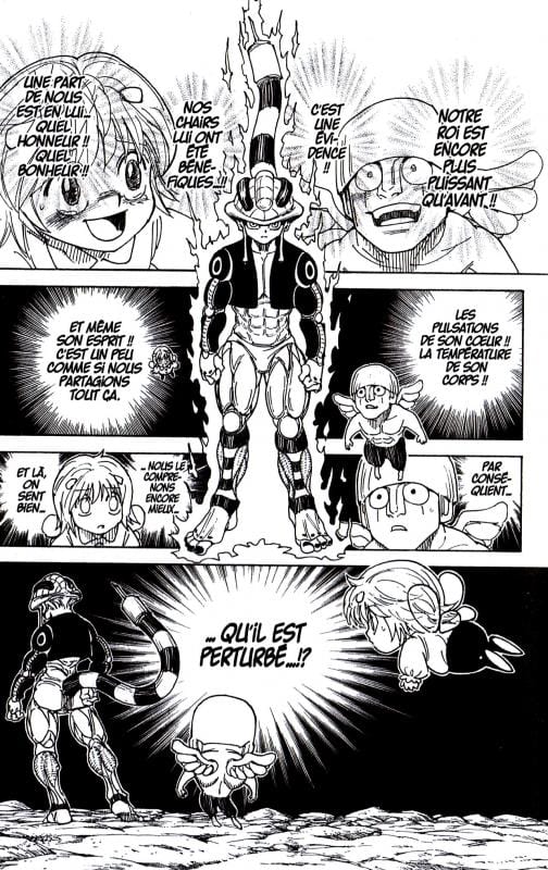 Hunter X Hunter T29