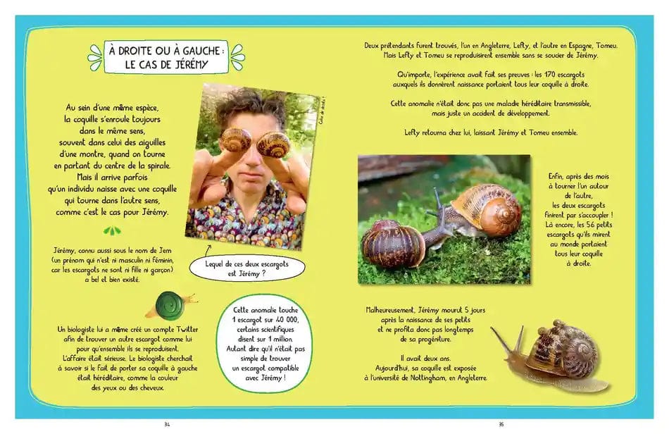 La véritable histoire de Jérémy l'escargot