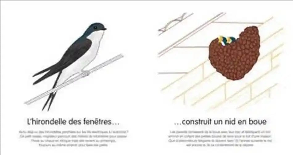 Dis, où tu habites ?