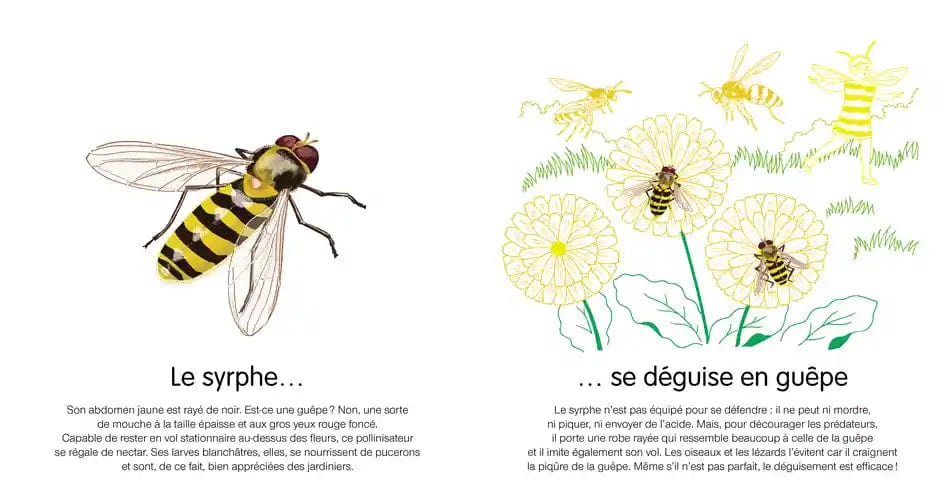 Dis, comment te défends-tu ?