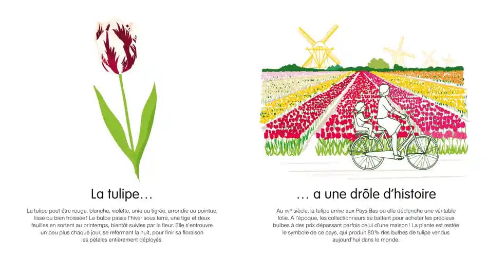 Dis, quelle est cette fleur ?